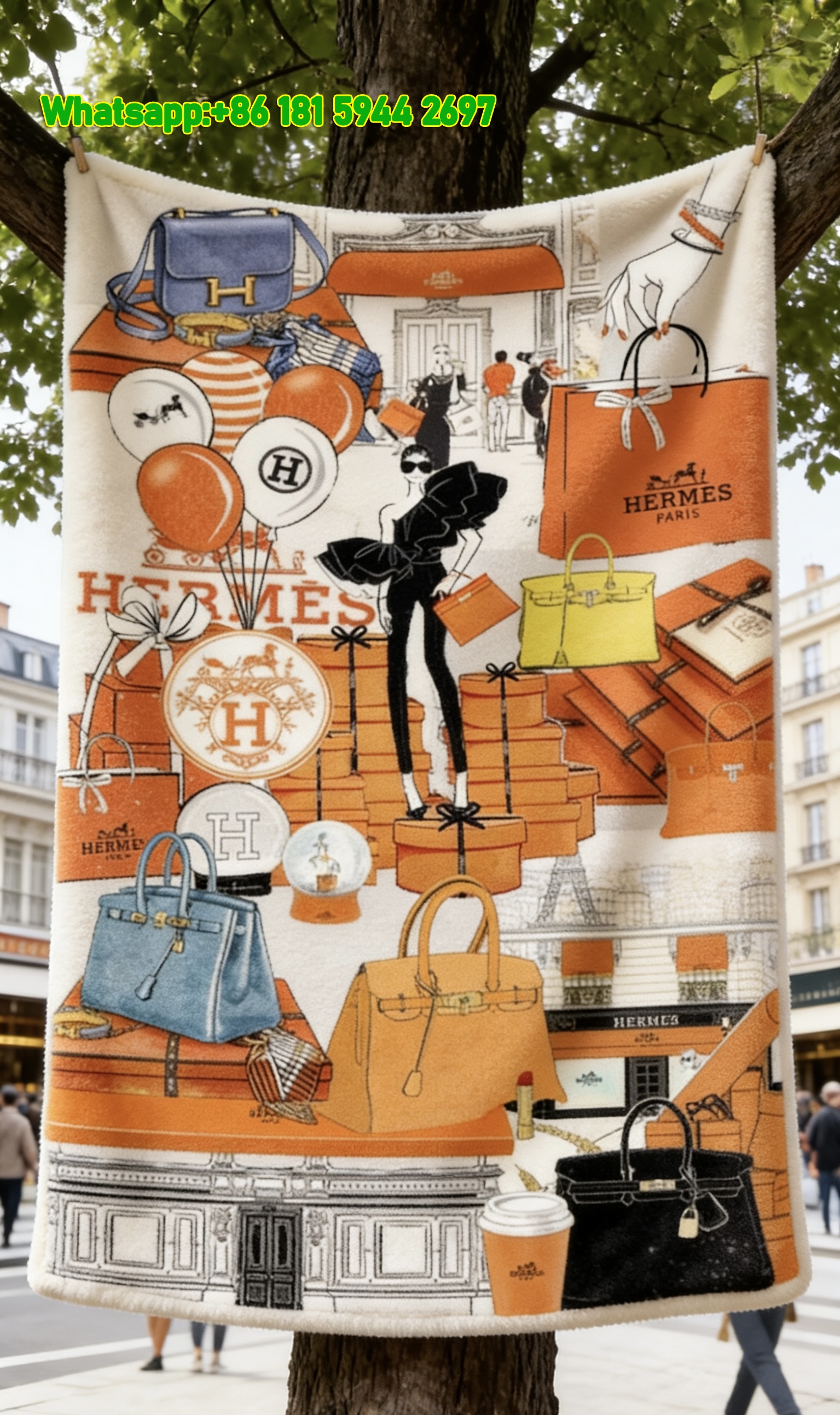 Hermès Iconic Bags & Street Style Flannel Throw Blanket IMG_5027